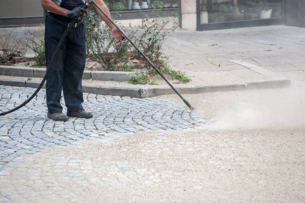 Best Roof Washing  in Belle Isle, FL