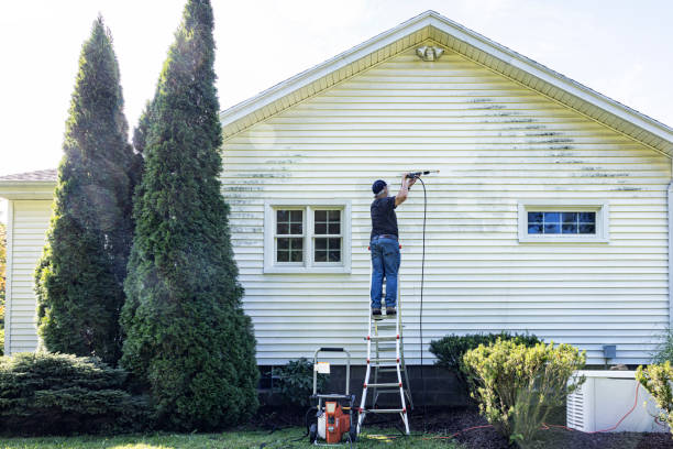 Best Building Exterior Washing  in Belle Isle, FL